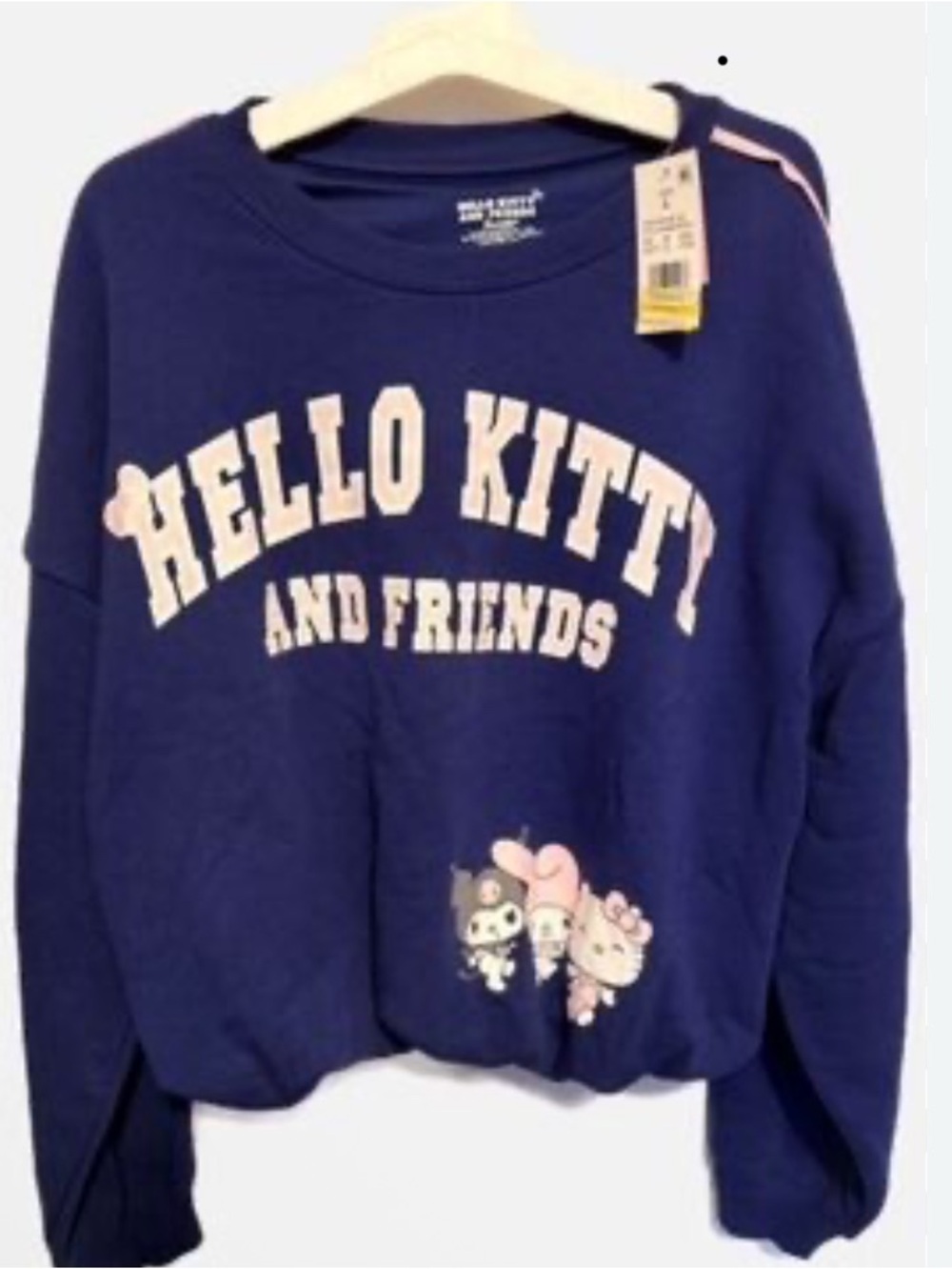 Hello Kitty And Friends Navy Graphic Sweatshirt